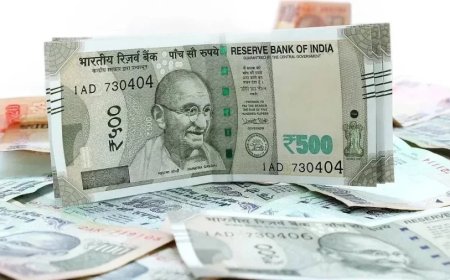 Highest Salary Department:IT नहीं बल्कि सबसे ज्यादा सैलरी इस सेक्टर में मिलती है, हो गया कंफर्म