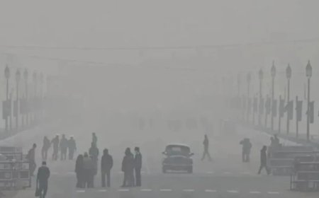 Delhi Weather Update:दिल्ली-NCR सहित उत्तर भारत ठंड की चपेट में, जानें अन्य राज्यों के मौसम का हाल