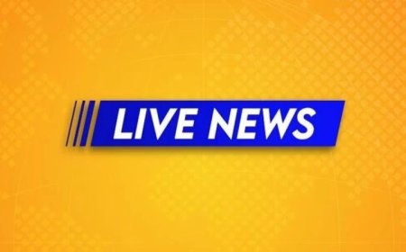 आज की ताजा खबर LIVE:नीमकाथाना जिला खत्म करने का मामला हाईकोर्ट पहुंचा