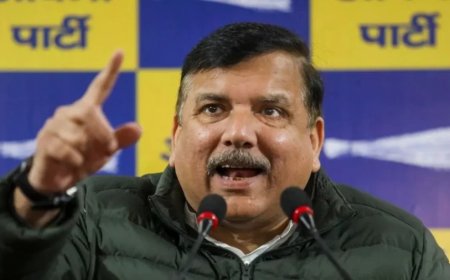 Delhi Election 2025:डॉक्यूमेंट्री से कौन सा डर, पुलिस ने PC क्यों रोकी,  AAP का BJP पर हमला