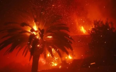 Los Angeles Fire:बाइडेन के जमाने से लगी आग ट्रंप का शासन आने तक हो गई और तेज, 50 हजार लोग होंगे विस्थापित