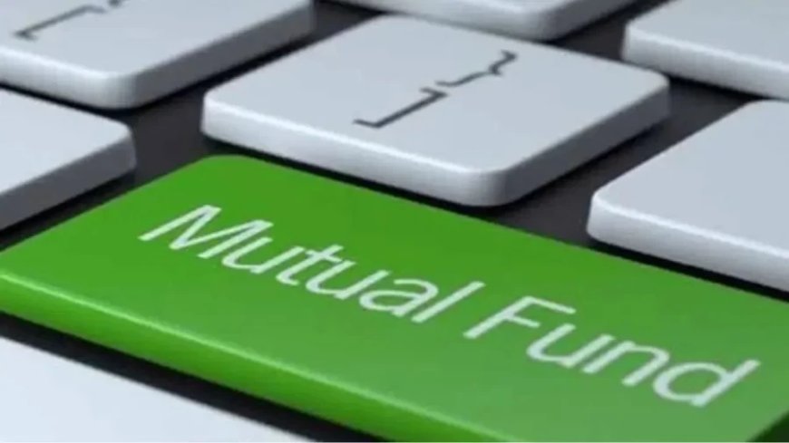 Mutual Fund Top Scheme:ये म्यूचुअल फंड 2025 में बना सकते हैं मालामाल, यहां समझें निवेश तरीका