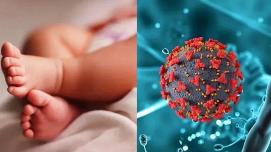 China HMPV Virus:चीन का खतरनाक वायरस HMPV भारत पहुंचा, इस राज्य में दो बच्चे संक्रमित