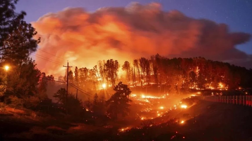 Palisades Fire:1500 इमारतें खाक-30000 बेघर... ऐसी फैली US के कैलिफोर्निया में भीषण आग