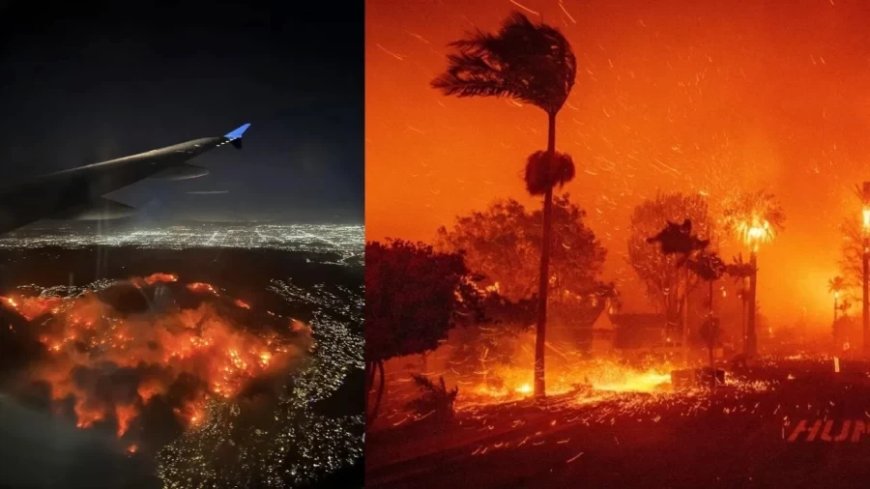 Palisades Fire:आग से कैलिफोर्निया तबाह- स्टार्स के बंगले खाक, 1 लाख से ज्यादा बेघर..