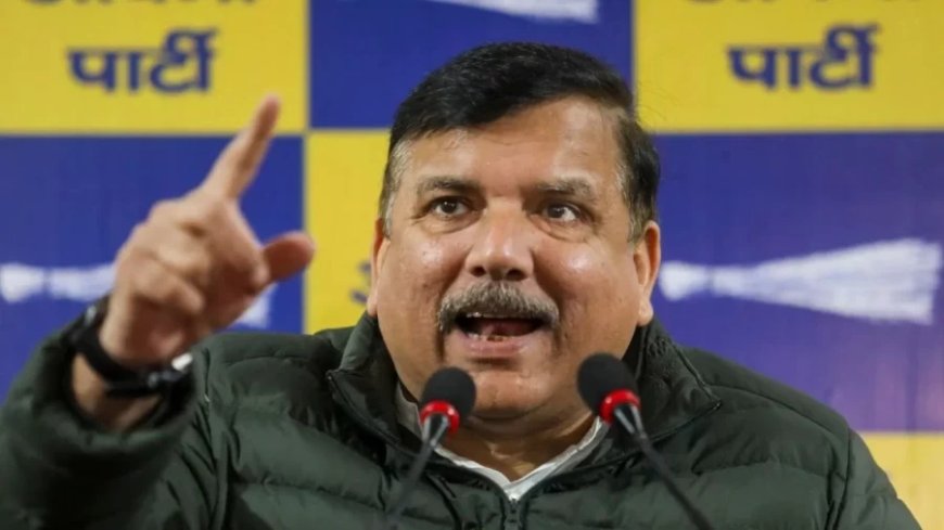 Delhi Election 2025:डॉक्यूमेंट्री से कौन सा डर, पुलिस ने PC क्यों रोकी,  AAP का BJP पर हमला