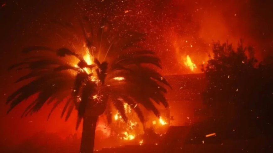 Los Angeles Fire:बाइडेन के जमाने से लगी आग ट्रंप का शासन आने तक हो गई और तेज, 50 हजार लोग होंगे विस्थापित