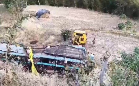 Bus Accident News:लग्जरी बस गिरी 200 फीट गहरी खाई में, 7 यात्रियों की मौत, 15 घायल