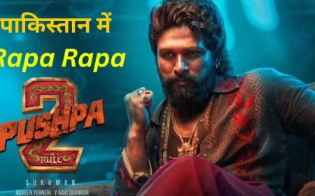 Pushpa 2- The Rule:पाकिस्तानियों का सहारा बनी नेटफ्लिक्स, 'पुष्पा 2' पर टूट पड़े लोग