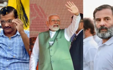 Delhi Election 2025:कैसे हुआ 2015, 2020 में मतदान, किसे मिली थीं कितनी सीटें? जानिए