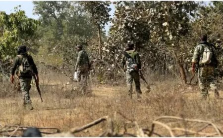 Chhattisgarh News:छत्तीगसढ़ के बीजापुर में मुठभेड़ में 31 नक्सली मारे गए, 2 जवान भी शहीद