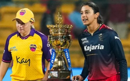 Women Premier League:पहली बार WPL 2025 में होगा ऐसा, कितना मिलेगा पैसा? जानिए नए सीजन के बारे में सबकुछ