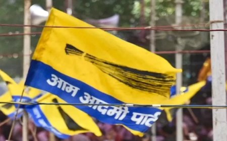 Aam Aadmi Party:AAP में दिल्ली चुनाव हारने के बाद पड़ी फूट, कई नेता बीजेपी में हुए शामिल, देखें लिस्ट