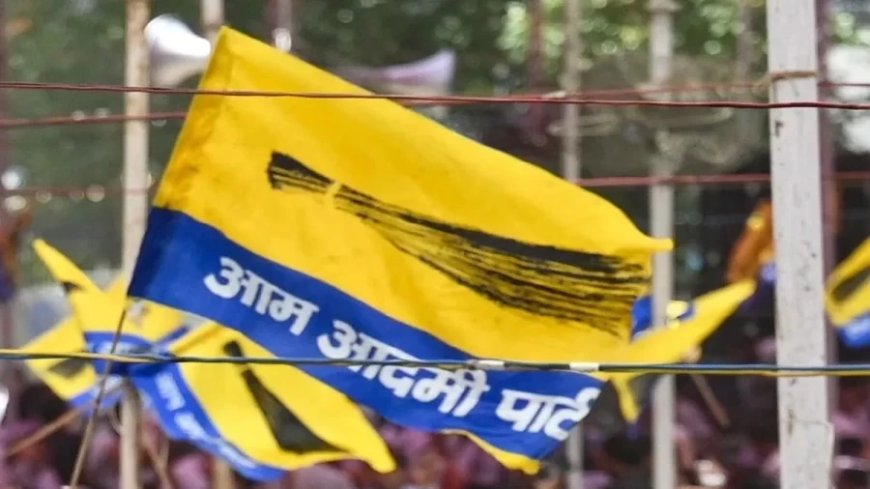 Aam Aadmi Party:AAP में दिल्ली चुनाव हारने के बाद पड़ी फूट, कई नेता बीजेपी में हुए शामिल, देखें लिस्ट