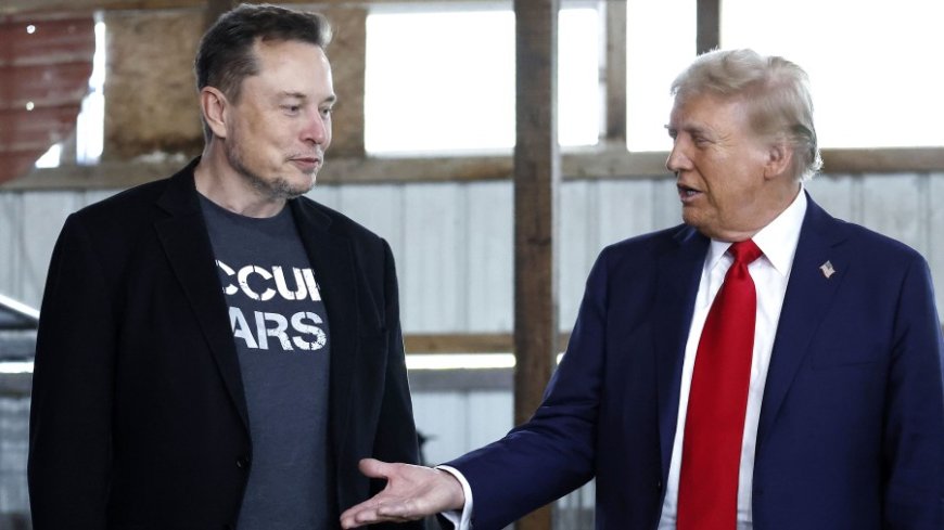 Tesla Factory In India:इंडिया में टेस्ला लाकर, क्या डोनाल्ड ट्रंप को एलन मस्क देंगे 'धोखा'?