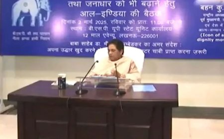 Mayawati Meeting:मायावती ने भतीजे आकाश आनंद को सभी पदों से हटाया, आनंद कुमार को मिली बड़ी जिम्मेदारी
