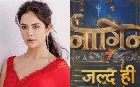 Avika Gor Naagin7:टीवी की 'बालिका वधू' आनंदी बनेगी अब 'नागिन'? कमबैक पर किया रिएक्ट, कही ये बात