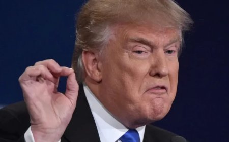 US Canada Tariffs:अब देना होगा 2 गुना लगान! ट्रंप इस देश से 25% नहीं अब 50% शुल्क वसूलेंगे