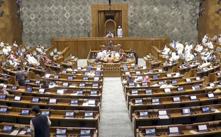 Budget Session 2025:लोकसभा में पास होगा बजट 2025-26, गिलोटिन प्रक्रिया अपनाई जाएगी, जानिए पूरा प्रॉसेस?
