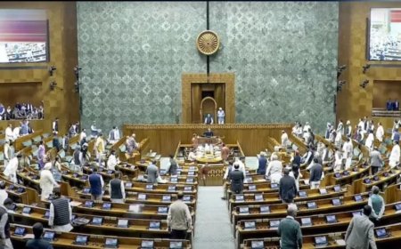 MP Salary Hike:सुविधा से लेकर सैलरी तक... जानें आपके सांसद पर कितना खर्च करती है सरकार