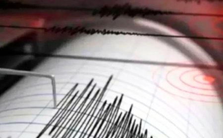 Earthquake News:म्यांमार के बाद टोंगा में भी अब आया तगड़ा भूकंप, सुनामी की चेतावनी