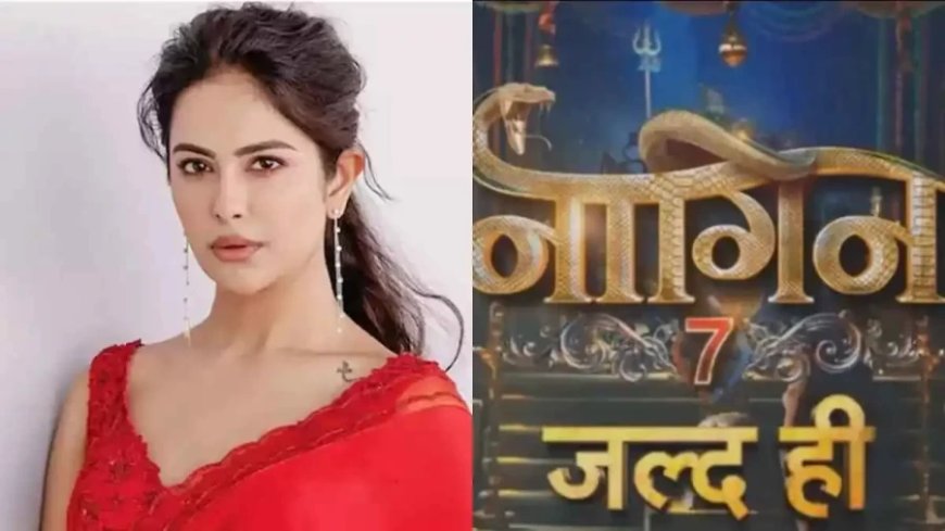 Avika Gor Naagin7:टीवी की 'बालिका वधू' आनंदी बनेगी अब 'नागिन'? कमबैक पर किया रिएक्ट, कही ये बात