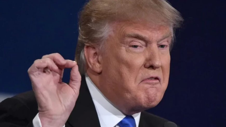 US Canada Tariffs:अब देना होगा 2 गुना लगान! ट्रंप इस देश से 25% नहीं अब 50% शुल्क वसूलेंगे