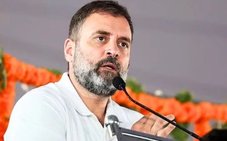 Rahul Gandhi News:चीन के साथ काट रहे केक तो बर्बाद करेगा टैरिफ... राहुल का संसद में हमला
