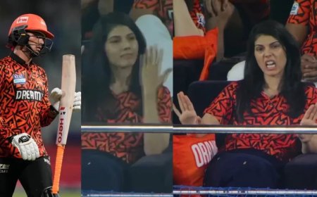 SRH vs GT:'मत खेलो 300 रन के लिए', अभिषेक के आउट होते ही झल्ला उठीं काव्या, गुस्से पर नहीं रहा काबू