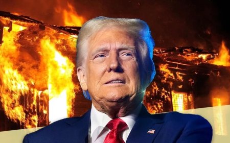 Trump Tariff War:क्या ट्रंप जानबूझकर कर मार्केट गिरा रहे हैं? एक पोस्ट से प्लान हुआ साफ