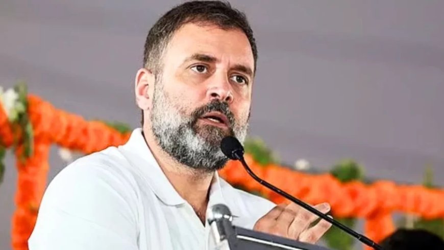 Rahul Gandhi News:चीन के साथ काट रहे केक तो बर्बाद करेगा टैरिफ... राहुल का संसद में हमला