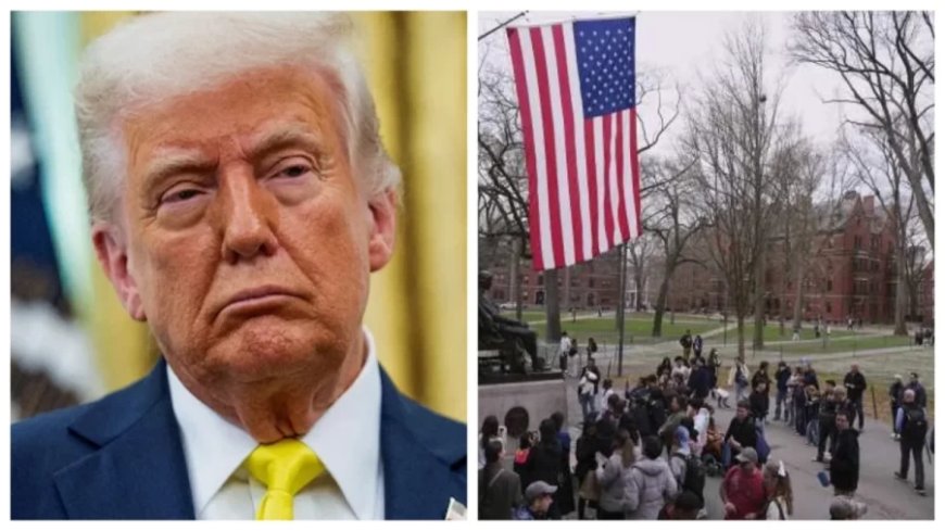 Donald Trump News:अब हार्वर्ड यूनिवर्सिटी ने ट्रंप सरकार पर ही कर दिया केस, अब क्या करेंगे डोनाल्ड?