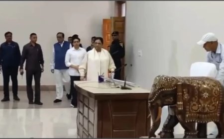 Akash Anand:आकाश आनंद पर मायावती ने फिर जताया भरोसा, पार्टी में मिली ये अहम जिम्मेदारी