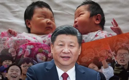 China News:काम मत करो, बच्चे पैदा करो... चीन के लोगों को आबादी बढ़ाने के लिए ऑर्डर