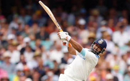 IND vs ENG:छत, लॉन कुछ नहीं बचा, ऋषभ पंत ने छक्के मार मारकर लोगों के घरों में पहुंचाई गेंद