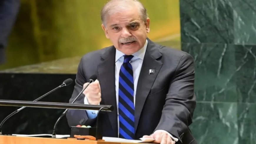 PM Shahbaz Sharif:'सिंधु के एक एक बूंद पानी पर हमारा हक है', शहबाज के मुंह पर गीदड़भभकी और मन में खौफ