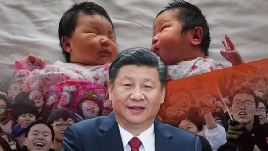 China News:काम मत करो, बच्चे पैदा करो... चीन के लोगों को आबादी बढ़ाने के लिए ऑर्डर