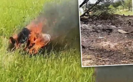 Air Force Plane Crash:राजस्थान के चुरू में वायुसेना का जगुआर क्रैश, पायलट समेत 2 की मौत- शवों के टुकड़े मिले