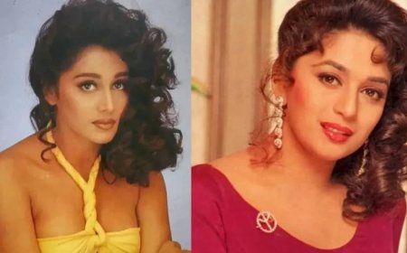 Farheen Khan:माधुरी की लगती थी जेरॉक्स कॉपी, शाहरुख की फिल्म को किया रिजेक्ट, प्यार मे पड़कर हुई छूमंतर