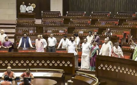 Rajya Sabha:सभापति की तरफ जाने वाली सीढ़ियों पर खड़ी हो गईं TMC सांसद, मार्शलों को बुलाना पड़ा