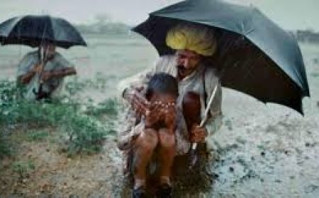 IMD Weather Rainfall:राजस्थान के बूंदी में घरों में चंबल का पानी घुसा, 13 जिलों में स्कूलों की छुट्टी
