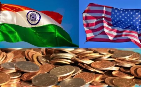 India-US Tariff War:भारत के किस सेक्टर पर ट्रंप के 'टैरिफ बम' का नहीं पड़ेगा असर? जानें US ने किसमें देखा अपना स्वार्थ?