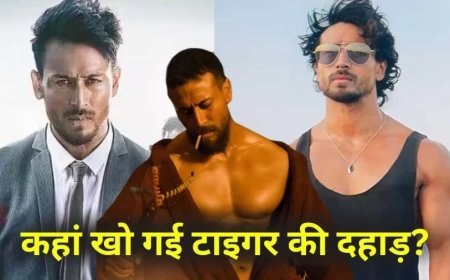 Tiger Shroff Flop Movies:3 साल, 3 FLOP... अरबों डुबों चुके हैं टाइगर, बागी 4 का क्या होगा?