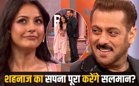 Bigg Boss 19:इधर सलमान से शहनाज की रिक्वेस्ट, उधर भाई की वाइल्ड कार्ड एंट्री!