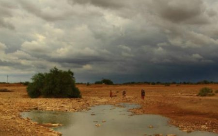 Rajasthan Weather:राजस्थान में मानसून की बारिश का दौर थमा- 17 सितंबर से फिर बरसात की संभावना