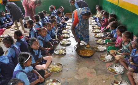 Udaipur News:मिड-डे-मील खाने के बाद 40 बच्चे बीमार, उल्टी-दस्त और चक्कर आने लगे, दाल में छिपकली पड़ी मिली