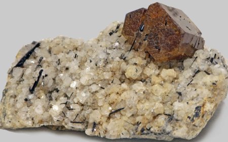 Rare Earth Reserve:'रेयर अर्थ' के लिए चीन के भरोसे नहीं रहेगा भारत, भंडार बनाने की तैयारी