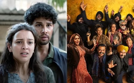 Bollywood News:'धड़क 2' से 'सन ऑफ सरदार 2' तक, इस हफ्ते ओटीटी पर रिलीज होंगी ये फिल्में-सीरीज