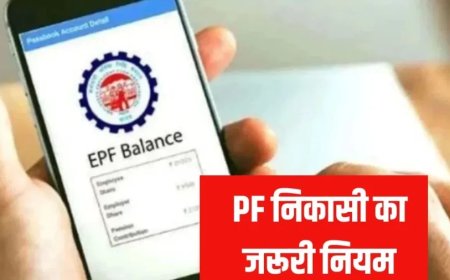 PF Money:अगर आपने भी की ये गलती तो ब्याज के साथ वापस करना होगा PF का पैसा