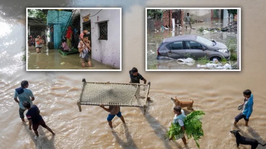 Yamuna flood in Delhi:फसलें तबाह, घरों में पानी... यमुना का बढ़ता जल स्तर बढ़ा रहा धड़कनें